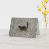 Carte Chipmunk (Fleur jaune)
