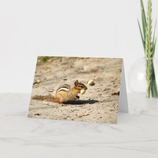 Carte Chipmunk (Devant)