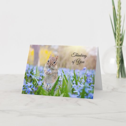 Carte Chipmunk Pensée pour Toi (intérieur vide) (Devant)