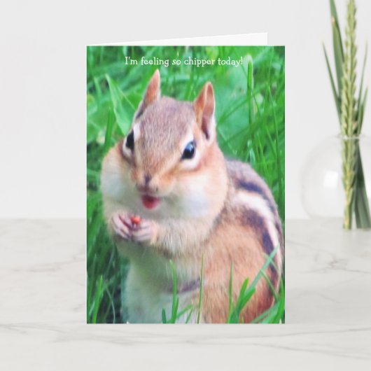 Carte Chipper today ! (Devant)