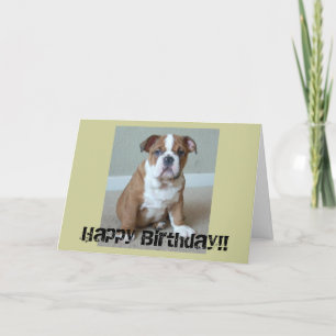 Carte Chippon anglais Bulldog
