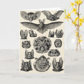Carte Chiroptera de Haeckel (Fleur jaune)