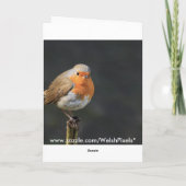 Carte Chirpy Robin (Dos)