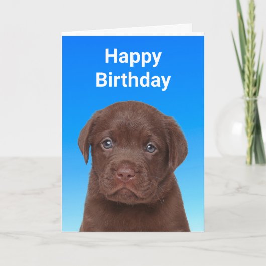 Carte Chocolat Labrador Anniversaire (Devant)