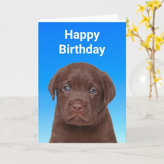 Carte Chocolat Labrador Anniversaire (Fleur jaune)