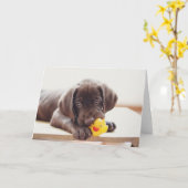 Carte Chocolat Labrador Chiot Avec Canard De Jouet (Fleur jaune)