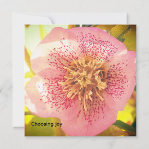 Carte Choisir la joie. Helleborus (Rose de carême)