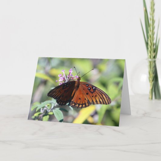 Carte Choix de mamans, bonjour (Devant)