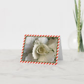 Carte Chou ornementale crème et verte avec des rayures r (Devant)