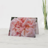 Carte Chou Rose Fleur Rose Pâle Blush (Dos)