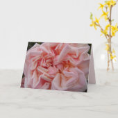 Carte Chou Rose Fleur Rose Pâle Blush (Fleur jaune)