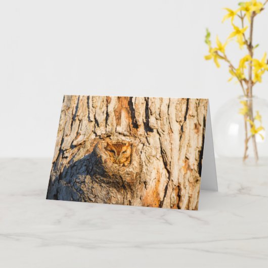 Carte Chouette à cris de l'Est (Fleur jaune)
