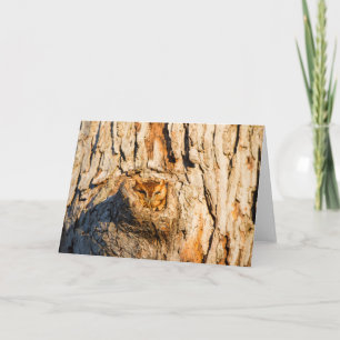 Carte Chouette à cris de l'Est