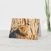 Carte Chouette à cris de l'Est (Devant)