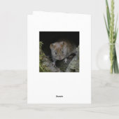 Carte Chouette à grange dans un arbre de chêne (Dos)