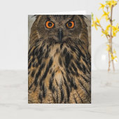 Carte Chouette à l'air malin (Fleur jaune)