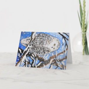 Carte Chouette à neige