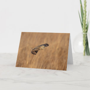 Carte Chouette à oreilles courtes en vol dans les prairi