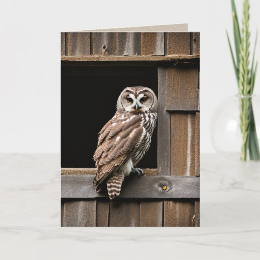 Carte Chouette Barrée D'Anniversaire Dans La Fenêtre De  (Devant)