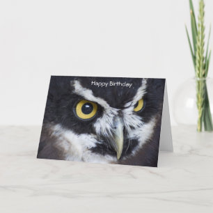 Carte Chouette blanche et noire Anniversaire