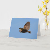 Carte Chouette Brown contre ciel bleu (Fleur jaune)