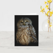 Carte Chouette couchée (Fleur jaune)