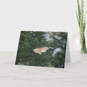 Carte Chouette de la grange volant dans la neige