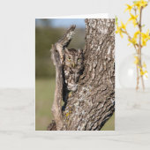 Carte Chouette de l'Est (Fleur jaune)