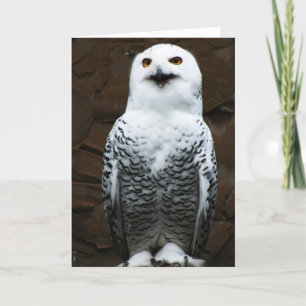 Carte Chouette des neiges gccnm