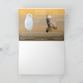 Carte Chouette des neiges sur un log (Intérieur)