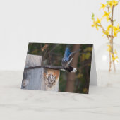 Carte Chouette harcelée par Blue Jay (Fleur jaune)