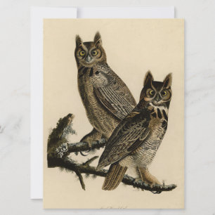 Carte Chouettes à cornes (par John James Audubon)