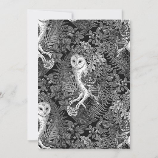 Carte Chouettes, fougères, chênes et baies 4 (Devant)