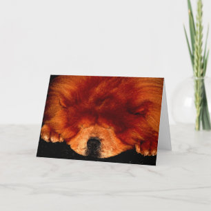 Carte Chow Chow Chow gcnm