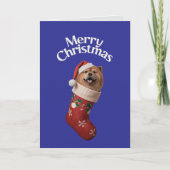 Carte Chow Chow Christmas Stocking (Devant)