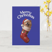 Carte Chow Chow Christmas Stocking (Fleur jaune)