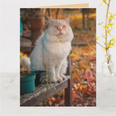 CARTE CHRÉTIEN CHAT ANNIVERSAIRE PHILIPPIENS 1:3 VERRE (Fleur jaune)