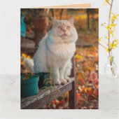 CARTE CHRÉTIEN CHAT PENSE À VOUS PHILIPPIENS 1:3 (Fleur jaune)