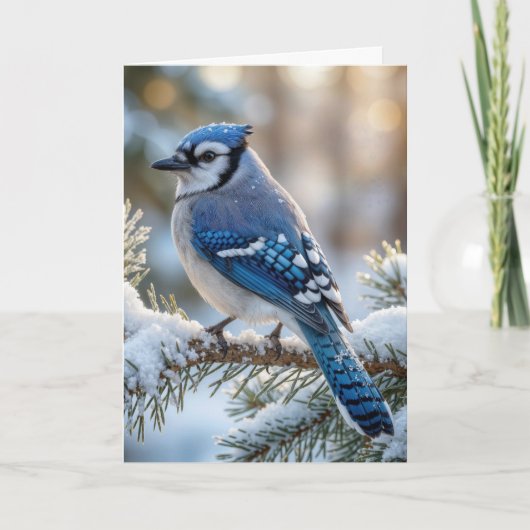 Carte Christmas Blue Jay On a Snowy Pine (Devant)