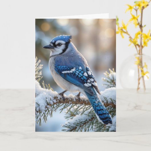 Carte Christmas Blue Jay On a Snowy Pine (Fleur jaune)