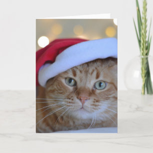 CARTE CHRISTMAS GINGER