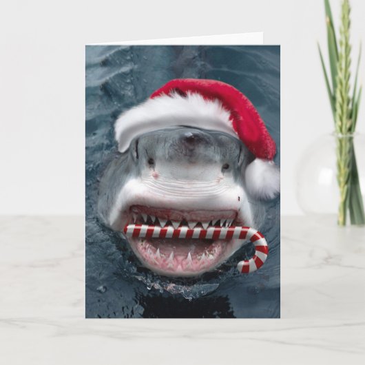 Carte Christmas Shark (Devant)