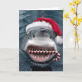 Carte Christmas Shark (Fleur jaune)