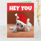 CARTE CHRISTMAS SPHYNX HAIRLESS CAT KITTEN (Fleur jaune)