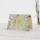 Carte Chrysanthème blanc floral photographique (Devant)