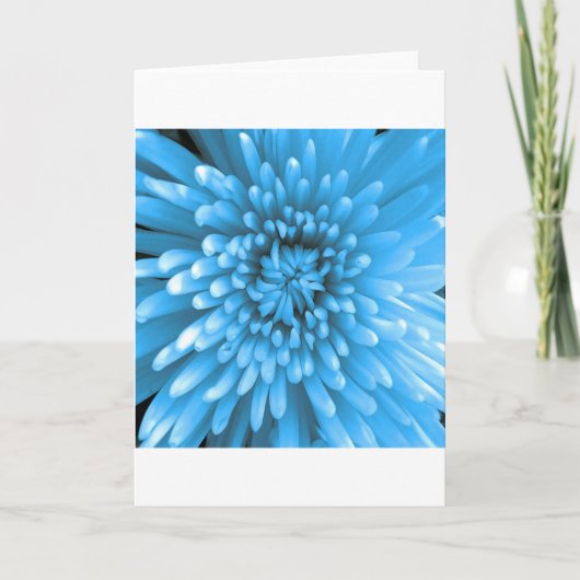 Carte Chrysanthème bleu (Devant)