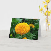 Carte Chrysanthème orange (Fleur jaune)
