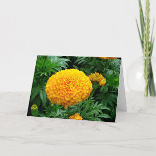 Carte Chrysanthème orange