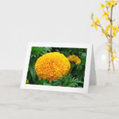 Carte Chrysanthème orange (Fleur jaune)