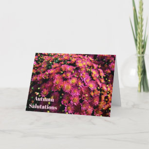 Carte Chrysanthèmes / Magenta / Salutations d'automne